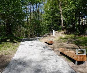 Tak wygląda park w dolinie Ślepiotki w Katowicach