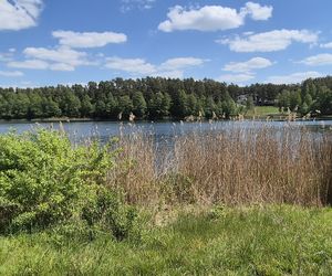 To jezioro w Olsztynie ma niezwykle czystą wodę. Jest kilka dzikich plaż, które świecą pustkami