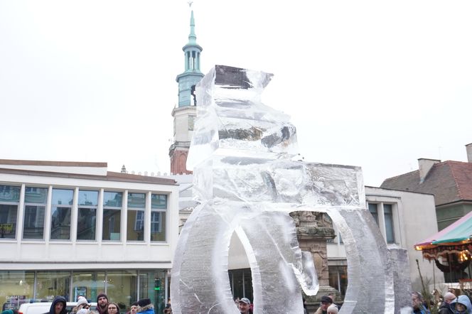 Poznań Ice Festival 2024 