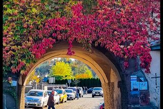 To jedno z najpiekniejszych miasteczek w świętokrzyskim