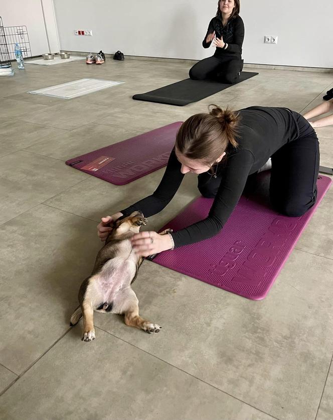 Puppy Yoga