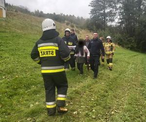 Szczęśliwy finał poszukiwań 79-latki. Zdezorientowaną seniorkę odnaleziono przy rzece