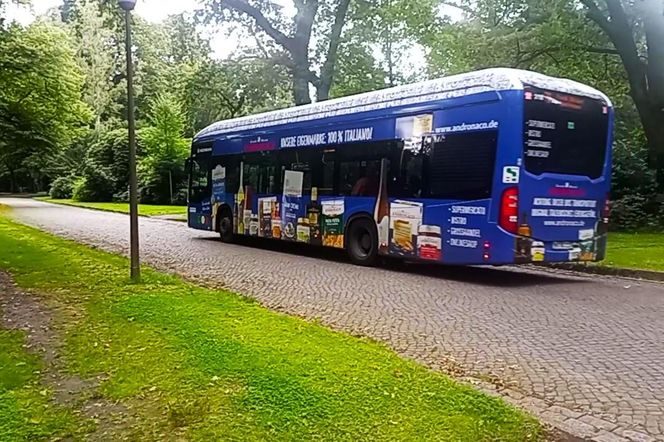 Ohlsdorfer Friedhof w Hamburgu