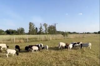 M jak miłość po wakacjach 2023. Wyjazd Franki (Dominika Kachlik) i Pawła (Rafał Mroczek)