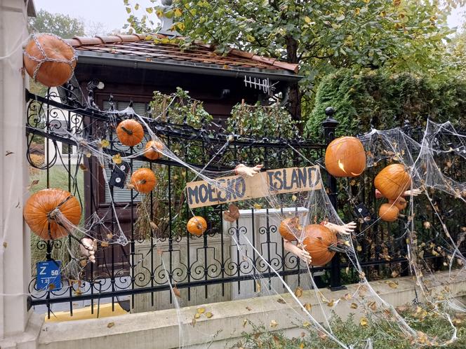 Willa na Jaśkowej Dolinie znów ozdobiona. Tym razem przechodniów zaskakują halloweenowe straszydła!