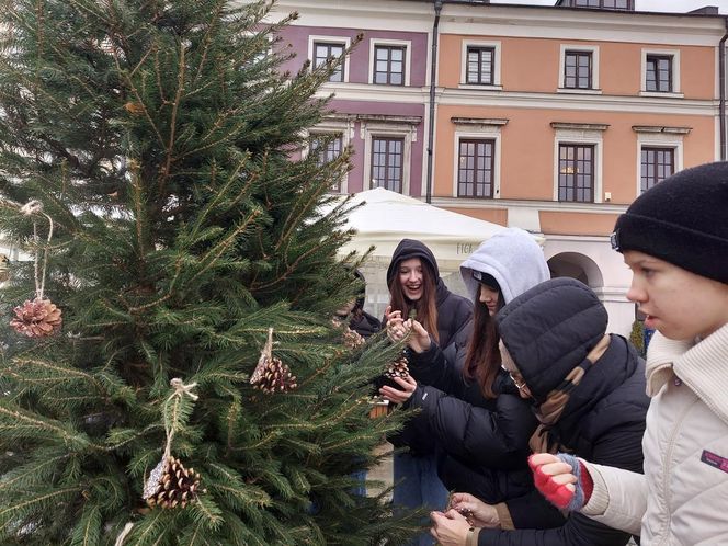  Zamojskie przedszkola i szkoły dekorowały choinki