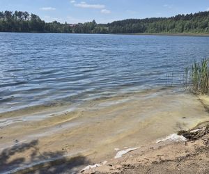 To jezioro w Olsztynie ma niezwykle czystą wodę. Jest kilka dzikich plaż, które świecą pustkami