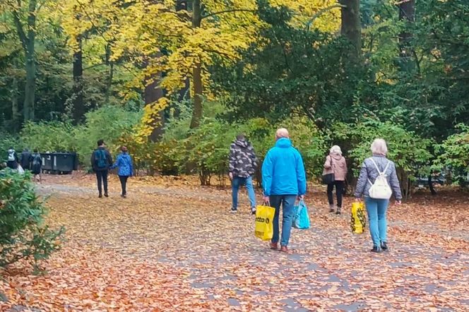 Przygotowania do 1 listopada na Cmentarzu Centralnym w Szczecinie