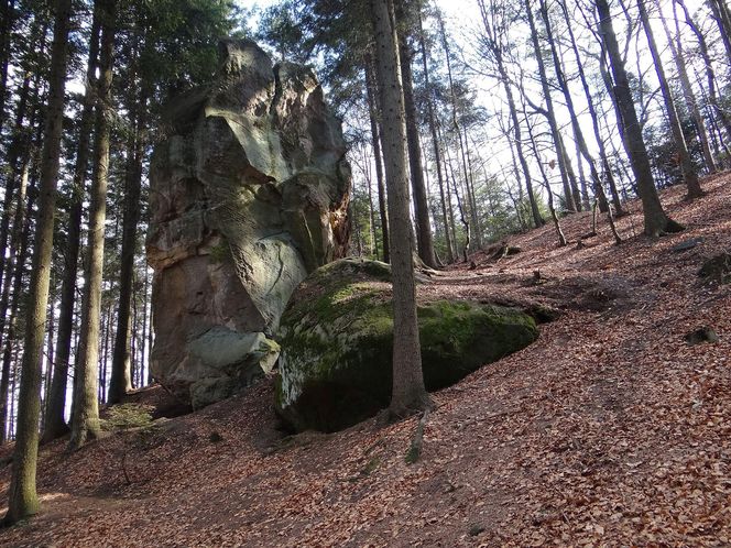 Rezerwat Diable Skały, Bukowiec