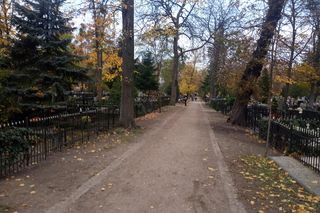 Wszystkich Świętych 2024 w Toruniu