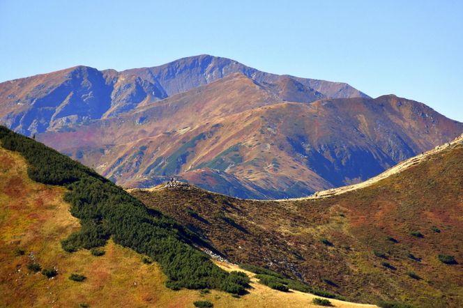 Tatry Zachodnie, Czerwone Wierchy