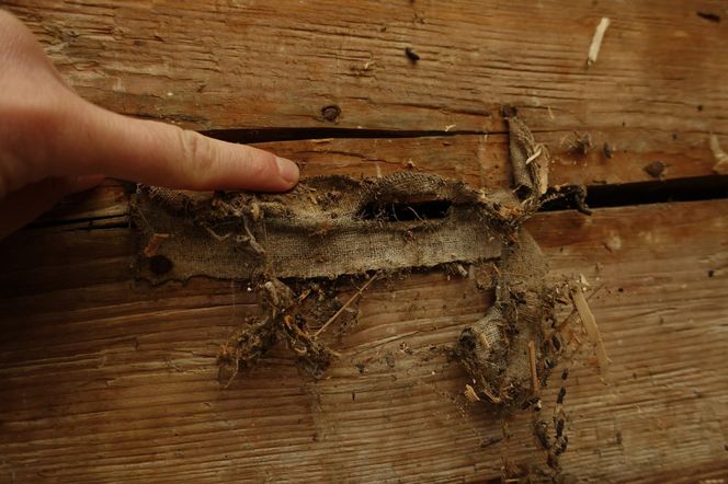 Przy remoncie Domu Ludowego odkryto cerkiew