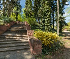 Park Stefana Żeromskiego w Warszawie 