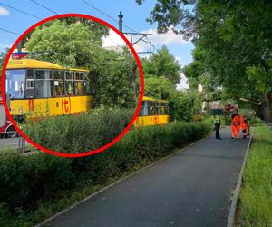 Drzewo spadło na tramwaj w Warszawie! Szokujące sceny na Mokotowie
