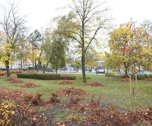 Park im. Cyryla Sroczyńskiego we Wronkach 