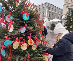  Zamojskie przedszkola i szkoły dekorowały choinki