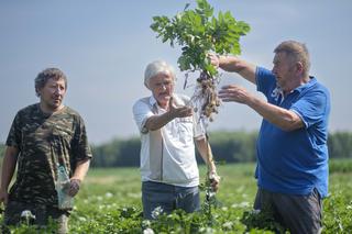 QUIZ. Rolnicy. Podlasie. Jak dobrze znasz serial i jego bohaterów?