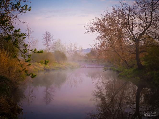 Fotografia jego pasja. Radek Chochół, starachowiczanin opowiada o swojej przygodzie z aparatem