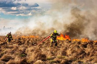 Pożar w Biebrzańskim Parku Narodowym objął już 400 ha!