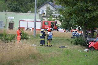 Borucinek w gminie Osięciny niedaleko Radziejowa to wieś jakich tysiące w Polsce. Przez nią przebiega droga  krajowa numer 62