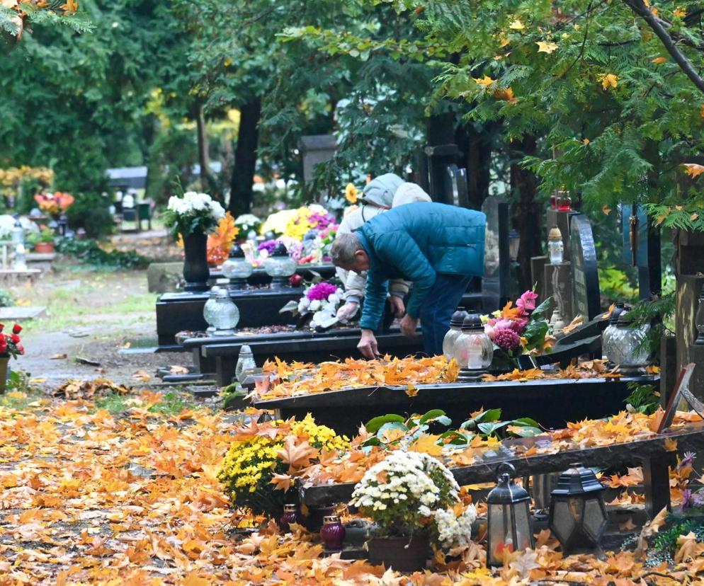 Porządki na Cmentarzu Centralnym w Szczecinie