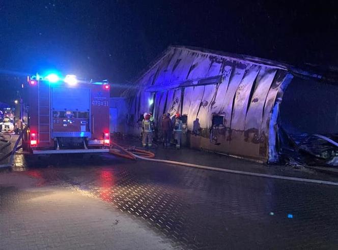 Pożar fermy drobiu koło Drohiczyna. Właściciel stracił majątek! 