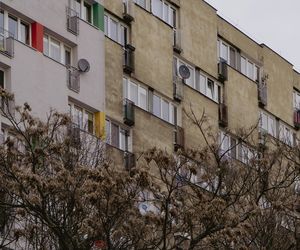 Grabiszyńska 133 we Wrocławiu. Fot. Julia Dragović