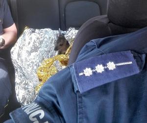 Policjanci uratowali życie maleńkiej sarnie