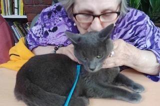 Zbiórka dla Fundacji Azyl w Konstantynowie Łódzkim. Zwierzęta na co dzień pomagają pacjentom ZOL-u