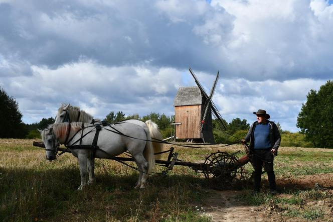 Smaki jesieni w skansenie. Zobacz, co działo się na imprezie w Olsztynku [ZDJĘCIA]