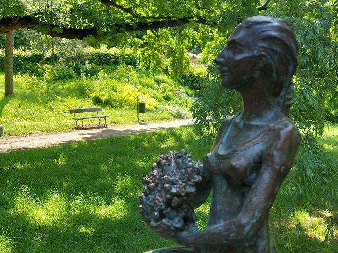 Park Miejski w Zamościu