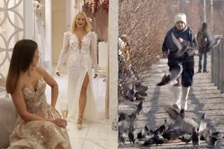 Pierwsza miłość, odcinek 3771: Dramatyczny finał wyboru sukni ślubnej Emilki. Wyjątkowa chwila zakończy się koszmarem - ZDJĘCIA, WIDEO