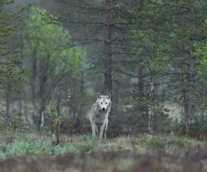 Kolejne sołectwo ostrzega swoich mieszkańców