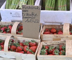  Ceny nowalijek na warszawskich bazarach szokują. Byliśmy i sprawdziliśmy ile trzeba zapłacić