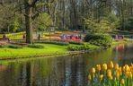 Ogród Keukenhof w Holandii