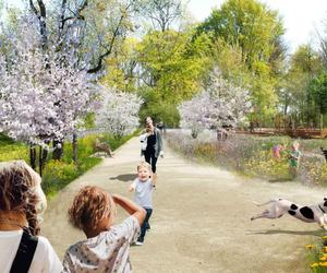 Zabytkowy park na Bronowicach w Lublinie będzie odnowiony [AUDIO]