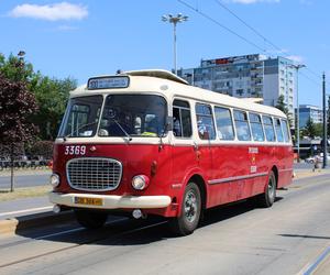 75 lat komunikacji autobusowej w Łodzi. W weekend czeka nas wielka parada autobusów!