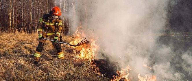 Mazowsze płonie. Ponad 300 pożarów w dwa dni. Strażacy biją na alarm!