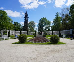 Różanka w Parku Planty po remoncie