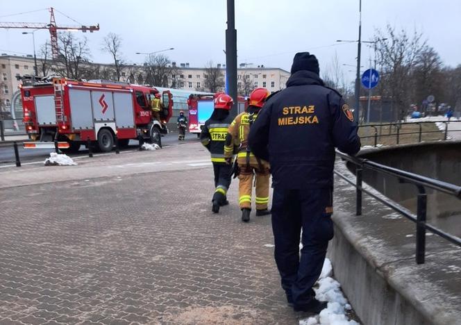 Mężczyzna wpadł do nieczynnego wybiegu dla niedźwiedzi
