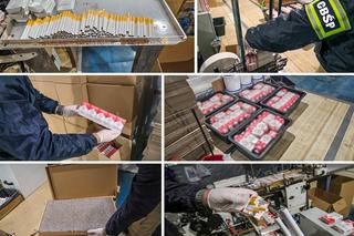 Podwójny morderca zatrzymany! Wielka akcja służb pod Płońskiem [ZDJĘCIA]