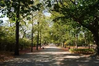 Park Planty