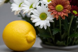 1 listopada. Zwykła cytryna przedłuży świeżość kwiatów na grobach?