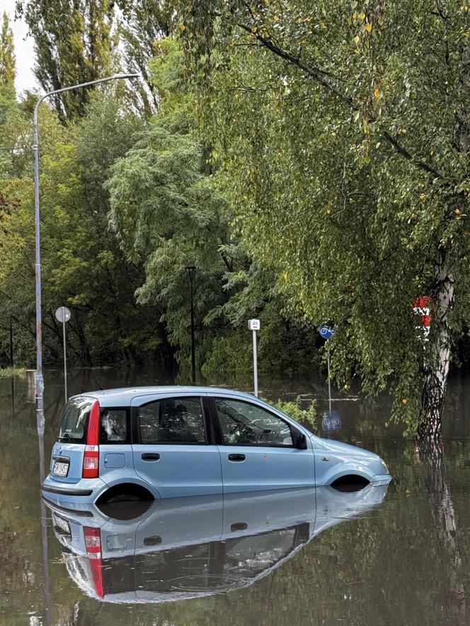 Obraz rozpaczy w Mysłowicach