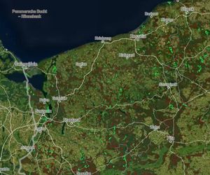 Mapa wycinki lasów 2025 - woj. zachodniopomorskie