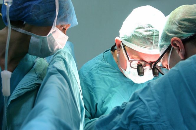 PRZESZCZEPY komórek, tkanek lub narządu. Rodzaje transplantacji