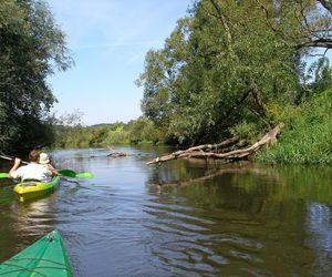 Spływy kajakowe w kujawsko-pomorskim. Ta rzeka nadaje się idealnie, zobaczycie piękne krajobrazy [GALERIA]