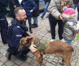 W Bydgoszczy grają razem z WOŚP. Wolontariusze, mieszkańcy i artyści działają razem, aby zebrać jak najwięcej pieniędzy 