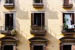 Zakaz nadmiernego podlewania kwiatów na balkonie