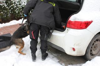 Policjanci znaleźli broń palną i 19 sztuk ostrej amunicji